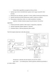 Apskričių vieta LT viešojo administravimo sistemoje 9 puslapis