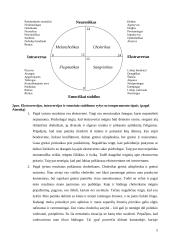 Asmenybės bruožų nustatymas naudojant Aizenko asmenybės klausimyną 5 puslapis