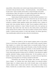 Asmenybės psichologijos namų darbas 11 puslapis