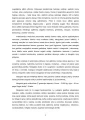 Atvejo analizė: bendruomenės slauga 4 puslapis