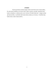 Bajorų kultūra. Baroko menas 3 puslapis