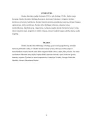 Bajorų kultūra. Baroko menas 6 puslapis