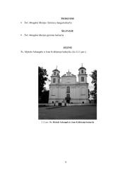 Bajorų kultūra. Baroko menas 9 puslapis