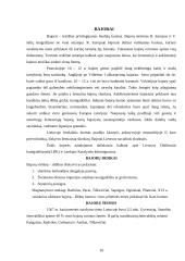 Bajorų kultūra. Baroko menas 10 puslapis