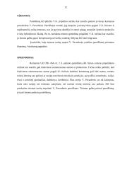 Bylų dėl fizinio asmens paskelbimo mirusiu ir pripažinimo nežinia kur esančiu nagrinėjimo lyginamoji analizė 11 puslapis