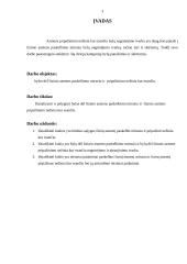 Bylų dėl fizinio asmens paskelbimo mirusiu ir pripažinimo nežinia kur esančiu nagrinėjimo lyginamoji analizė 2 puslapis