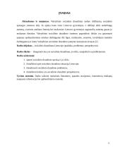 Socialinis draudimas Lietuvoje(praktika, perspektyva, problemos) 2 puslapis