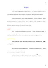 Darbas su lentelėmis Microsoft Word aplinkoje 2 puslapis