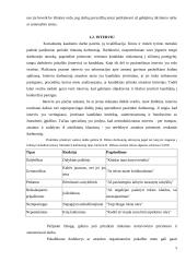 Darbuotojų atranka ir testavimas 7 puslapis