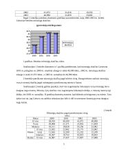 Demografinė statistika 5 puslapis