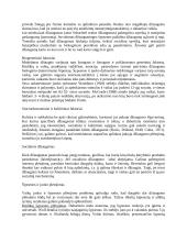 Džiaugsmas. Teigiamas ir neigiamas afektas 12 puslapis