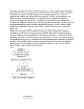 Džiaugsmas. Teigiamas ir neigiamas afektas 5 puslapis