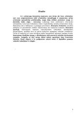 Frančesko Petrarkos biografija ir veikla 6 puslapis