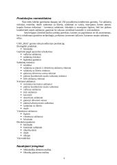 Gamybos technologija: UAB "Rūta" 4 puslapis