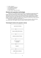 Gamybos technologija: UAB "Rūta" 6 puslapis