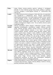 Graikų dievai su lietuviškų dievų atitikmenimis 5 puslapis