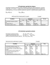 Įmonės gamybos planas 2 puslapis