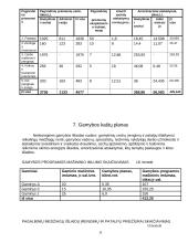 Įmonės gamybos planas 11 puslapis