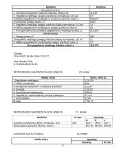 Įmonės gamybos planas 12 puslapis