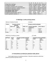 Įmonės gamybos planas 13 puslapis