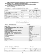 Įmonės gamybos planas 14 puslapis