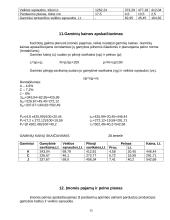 Įmonės gamybos planas 15 puslapis