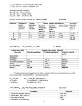 Įmonės gamybos planas 17 puslapis