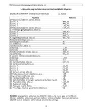 Įmonės gamybos planas 18 puslapis