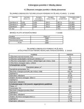 Įmonės gamybos planas 5 puslapis