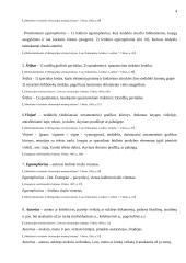 Knygotyros terminologija 4 puslapis