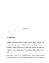 Moteriškos aprangos detalė: Rankinė 6 puslapis