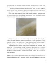 Moteriškos aprangos detalė: Rankinė 7 puslapis