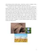 Moteriškos aprangos detalė: Rankinė 8 puslapis