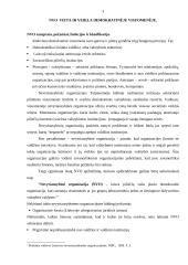 Nevyriausybinių organizacijų (NVO) veikla 3 puslapis