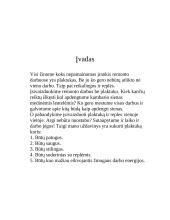 Plaktuko gamyba 2 puslapis