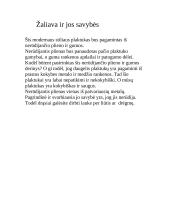 Plaktuko gamyba 5 puslapis