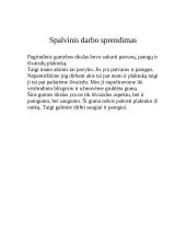 Plaktuko gamyba 7 puslapis