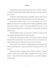 Platonas "Valstybė" - Platono mintys 2 puslapis