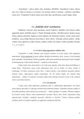 Rūkytų gaminių ir kojinių grupių asortimentas 6 puslapis