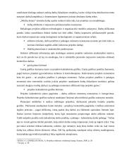 Projekto įgyvendinimo planas 2 puslapis