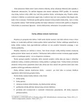 Projekto įgyvendinimo planas 3 puslapis