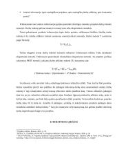Projekto įgyvendinimo planas 4 puslapis
