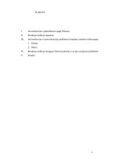 Savirealizacija ir savirealizacijos problemos brandos amžiuje 2 puslapis