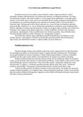 Savirealizacija ir savirealizacijos problemos brandos amžiuje 3 puslapis