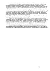 Savirealizacija ir savirealizacijos problemos brandos amžiuje 7 puslapis