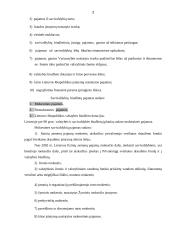 Savivaldybių mokestinės pajamos 2 puslapis