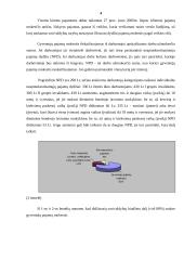 Savivaldybių mokestinės pajamos 4 puslapis