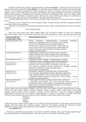 Urgentinė chirurgija 3 puslapis