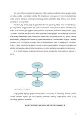 Vaidybos pritaikymas integruotame ugdyme 3 puslapis