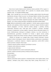 Vidurinės mokyklos socialinio pedagogo veiklos analizė 2 puslapis